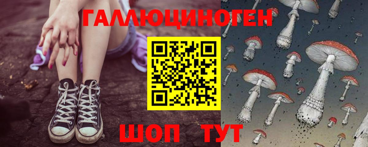 Галлюциногенные грибы Magic Shrooms  Вход с VPN  Богданович  Псилоцибиновые грибы Magic Shrooms 